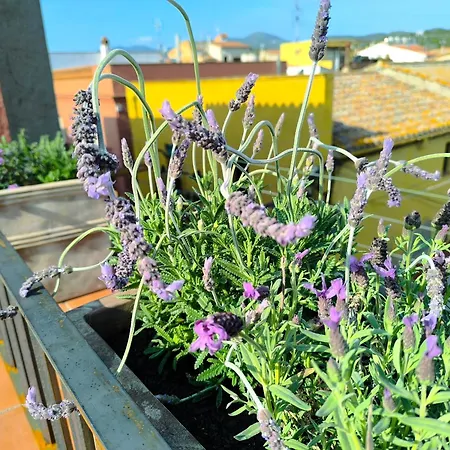 Ca La Lidia Apartment